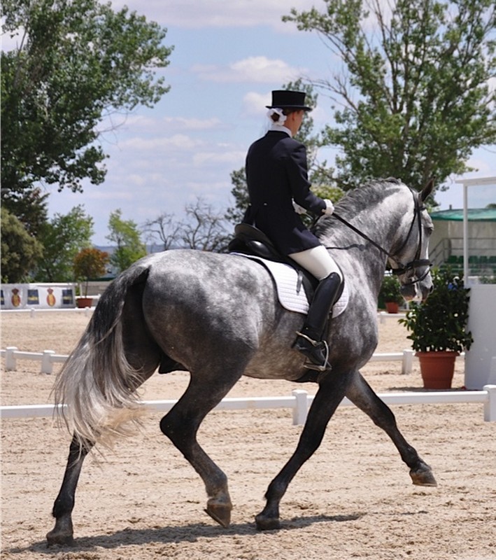 La Navarra Teresa Jauquicoa se impuso en el Gran Premio Especial del CDN*** de Doma Cl&aacute;sica del RACE